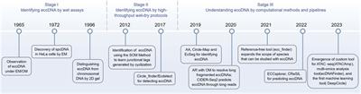 Characterization, biogenesis model, and current bioinformatics of human extrachromosomal circular DNA